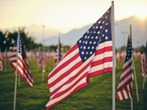 A field full of a large amount of American flags, blowing in the breeze.