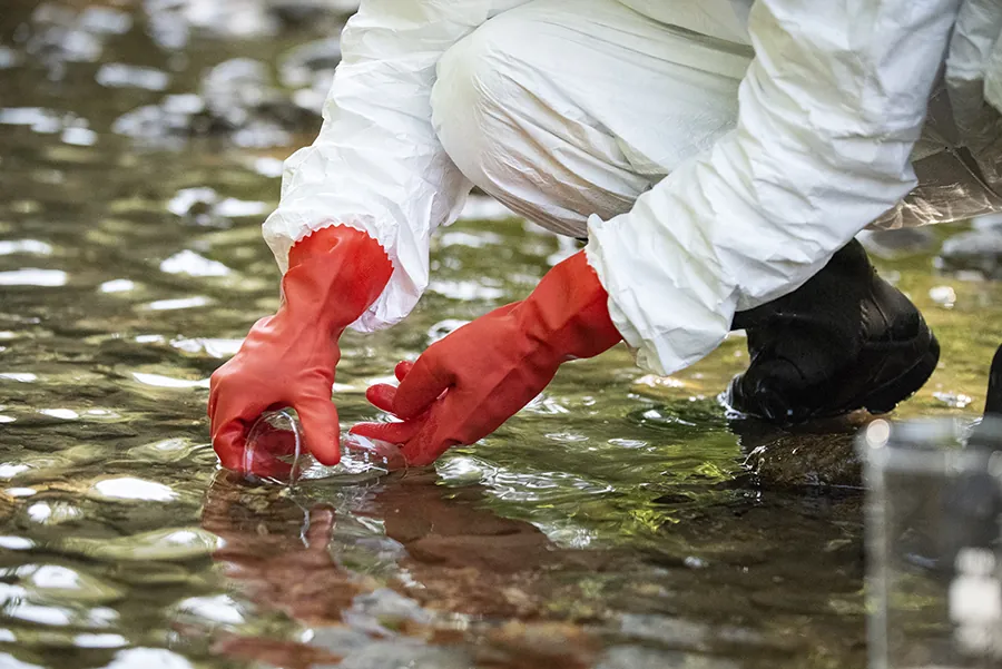 scientist wearing red gloves extracts a sample into a beaker from a body of water