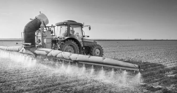 Heavy machinery crawls rows of crops spraying herbicide on them