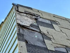 shingles are missing from a roof, exposing the material below them